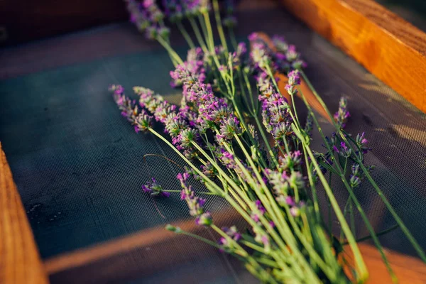 Dry Lavender Heap Vintage Wooden Table — Stock Photo, Image
