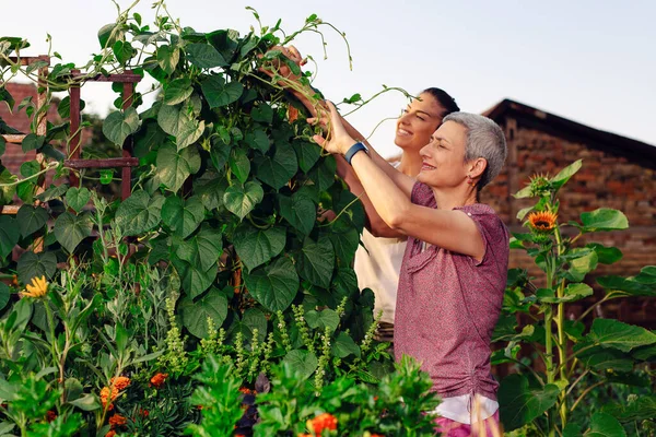 Anne Kız Birlikte Bahçeyle Uğraşıyorlar Bahçeyle Uğraşıyorlar Keşfediyorlar Öğretiyorlar — Stok fotoğraf