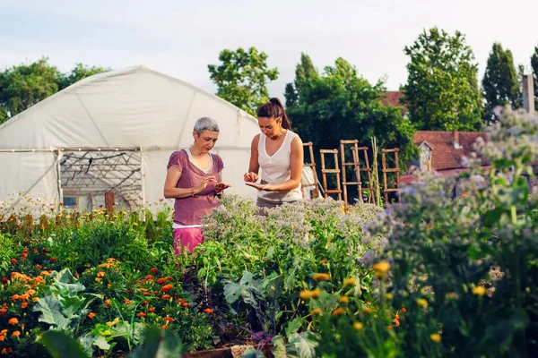 Mother and daughter enjoying gardening in home backyard