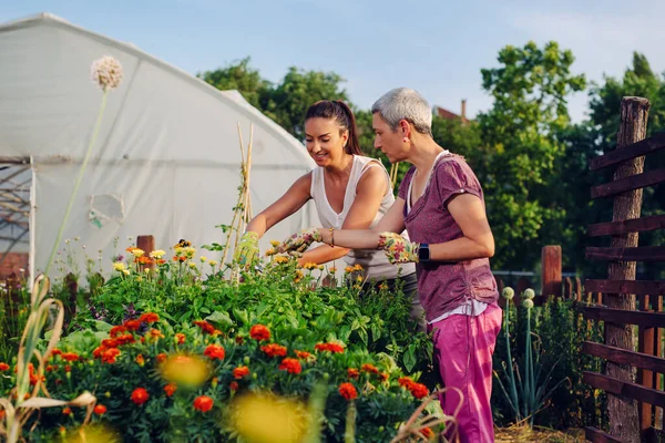 Mother and daughter enjoying gardening in home backyard