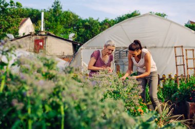 Anne ve kız birlikte bahçeyle uğraşıyorlar. Bahçeyle uğraşıyorlar. Keşfediyorlar ve öğretiyorlar..