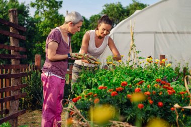 Anne ve kız birlikte bahçeyle uğraşıyorlar. Bahçeyle uğraşıyorlar. Keşfediyorlar ve öğretiyorlar..