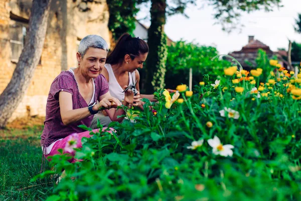 Mother Daughter Gardening Together Gardening Discovering Teaching — Stock Photo, Image