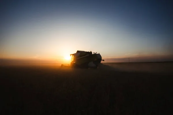Mähdrescher Bei Goldlicht Auf Landwirtschaftlichen Feldern Mit Weizen — Stockfoto