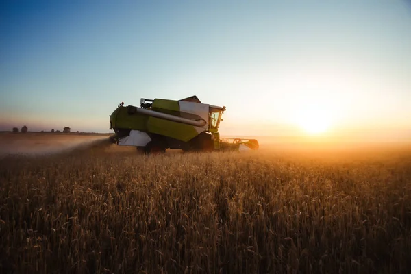 Combina Mietitrice Alla Luce Dell Oro Nei Campi Agricoli Con — Foto Stock