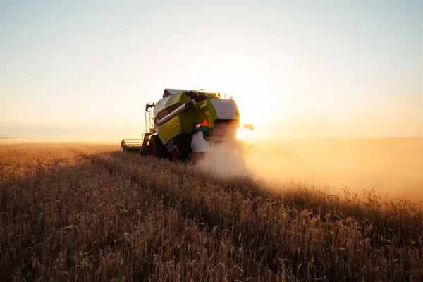 Mähdrescher Bei Goldlicht Auf Landwirtschaftlichen Feldern Mit Weizen — Stockfoto