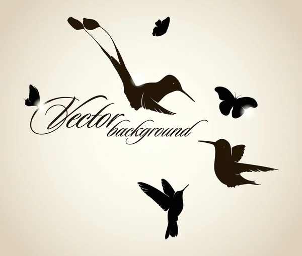 Hermoso colibrí. Fondo vectorial — Vector de stock