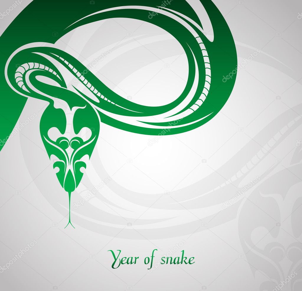 Abstract snake symbol New Year 2013. Vector illustration