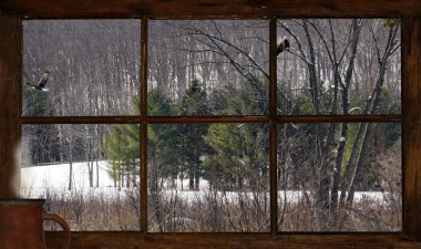 Winter lanscape through old window. clipart
