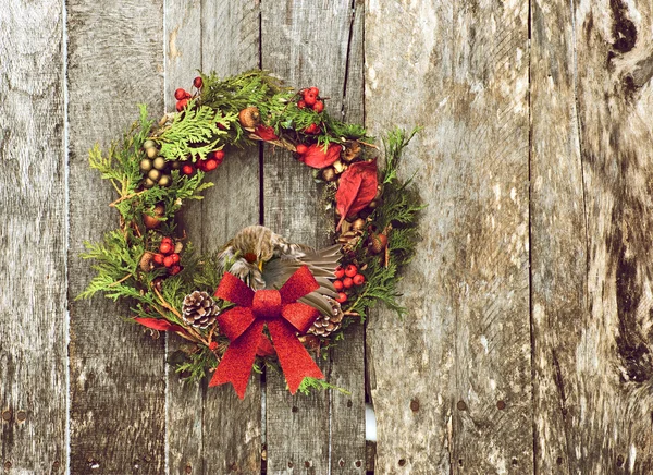 Pretty preening redpoll on a wreath. — Stock Photo, Image