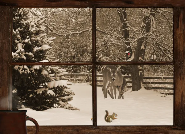 Weihnachtskarte. — Stockfoto