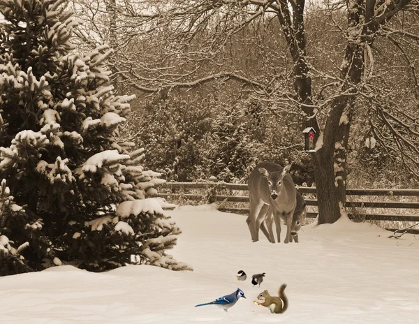 Julkort. — Stockfoto