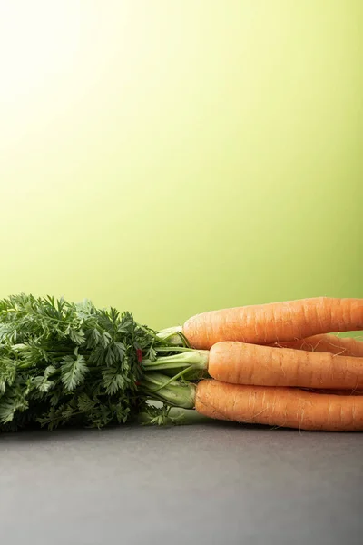 Gri arka planda yeşil tepeli havuçlar. Vejetaryen ve vejetaryen kavramı.