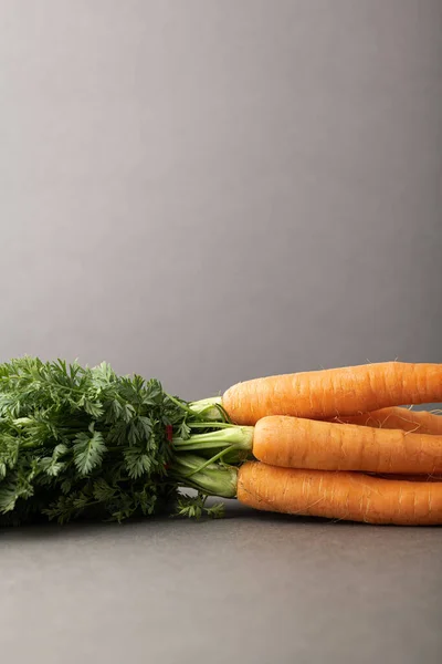 Gri arka planda yeşil tepeli havuçlar. Vejetaryen ve vejetaryen kavramı.