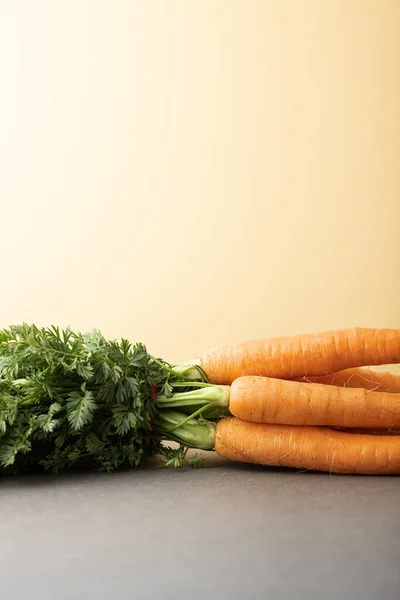 Gri arka planda yeşil tepeli havuçlar. Vejetaryen ve vejetaryen kavramı.