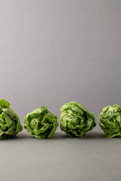 Renkli arkaplanda Romano salatası