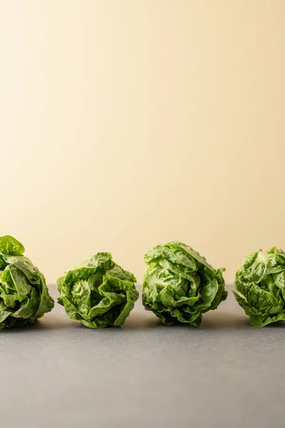 Renkli arkaplanda Romano salatası