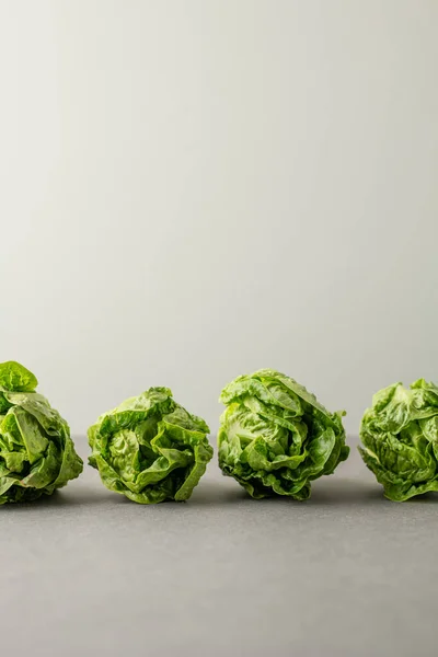 Renkli arkaplanda Romano salatası