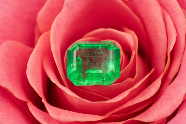 Smaragd Drágakő Rózsaszín Rózsa Virág — Stock Fotó