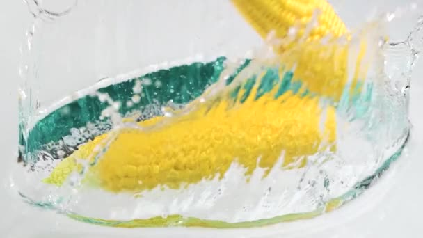 Kukuřice Cob Vodní Splash Pomalý Pohyb — Stock video