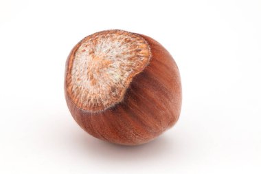 Beyaz Arkaplanda Taze Fındık 'a yaklaş