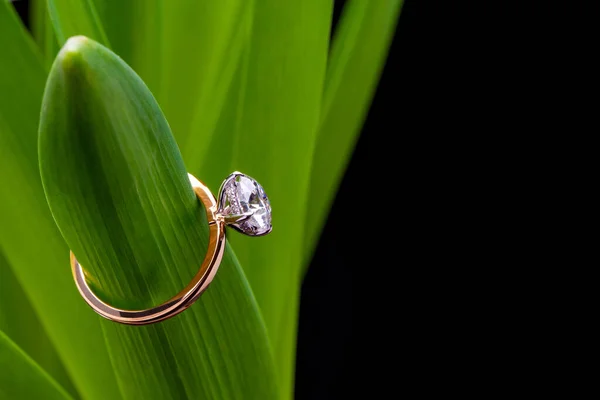 Engagement Diamond Ring on Green Hyacinth Leaves