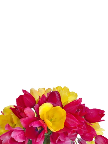 Boeket tulpen op een witte achtergrond — Stockfoto