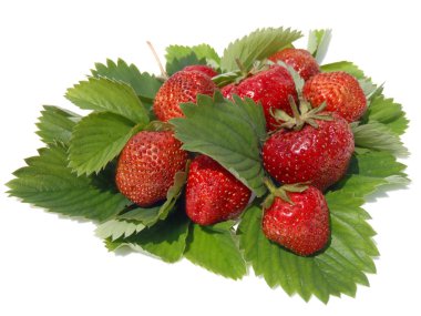 beyaz zemin üzerine yeşil yaprakları ile olgun çilek