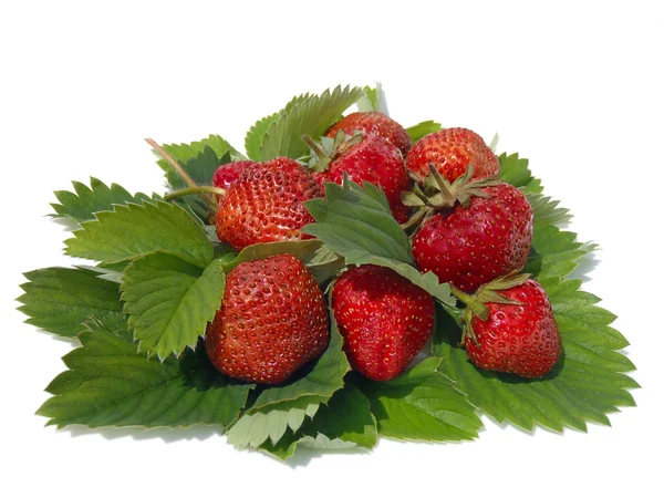 Ripe strawberry with green leaves — Stock Photo, Image