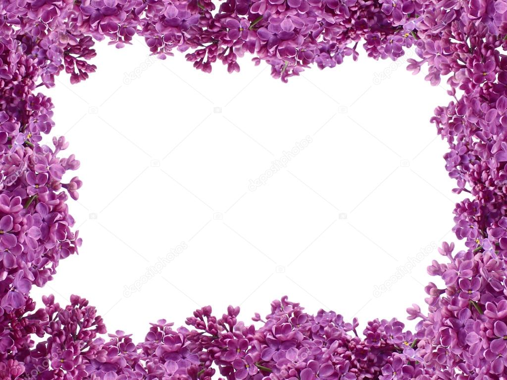 Frame from flowers of a lilac on a white background
