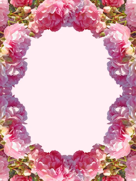 The frame of pink roses on a pink background — Stock Photo, Image
