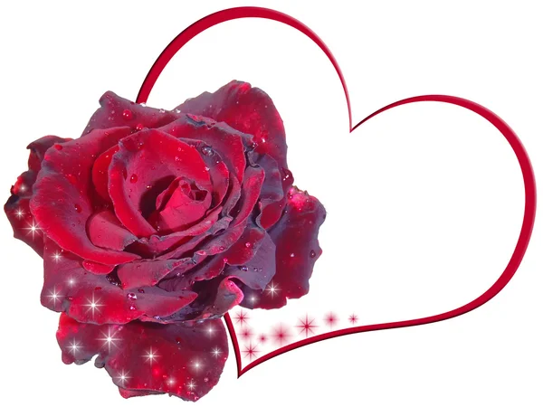 Κόκκινο τριαντάφυλλο με καρδιά σε λευκό φόντο — Φωτογραφία Αρχείου