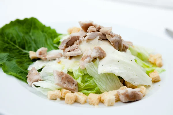 Salada Caesar — Fotografia de Stock