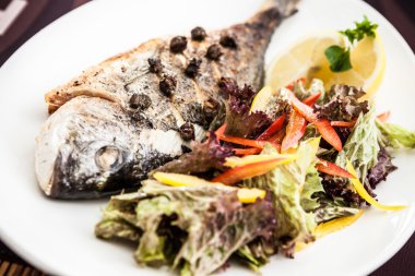 yaldızlı kafa çipura balığı