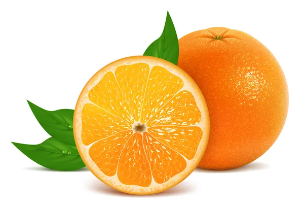 Laranja fresca —  Vetores de Stock