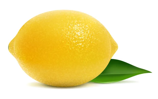 Verse citroen — Stockvector