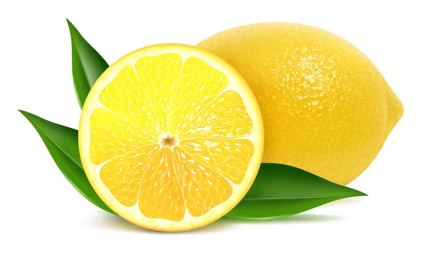 Frische Zitronen mit Blättern — Stockvektor