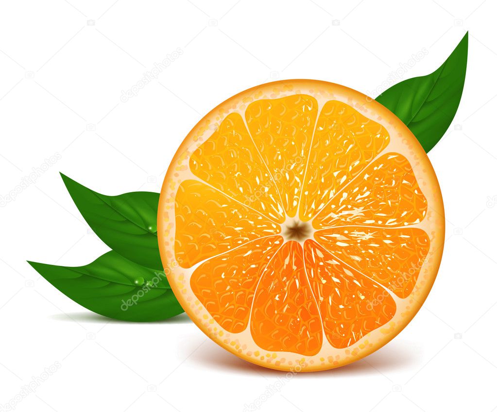 Half of orange with leaves