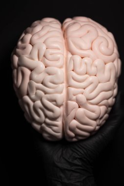 İnsan beyni anatomik modeline yakın çekim, pasta sanatı konsepti görüntüsü, şeker ezmesinden beyin. Şeker sanatı