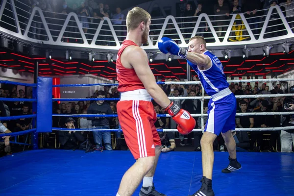 Bout Togobitsky Ilya Antonov Alexander Weight Category Boxing Kharkiv Derby — Zdjęcie stockowe