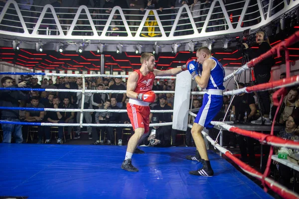 Bout Entre Togobitsky Ilya Antonov Alexander Dans Catégorie Poids Jusqu — Photo