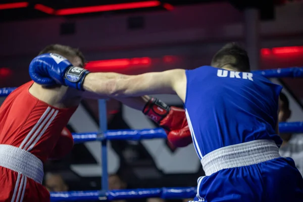 Bout Galkin Ivan Boyko Ignat Weight Category Boxing Kharkiv Derby — Zdjęcie stockowe