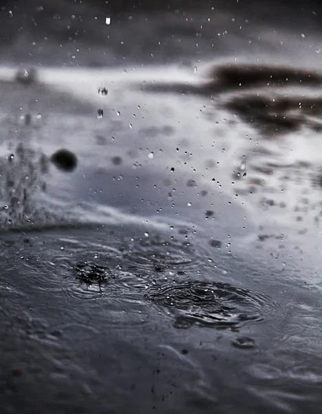 rainny gün