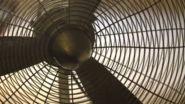 La rotazione del ventilatore — Video Stock