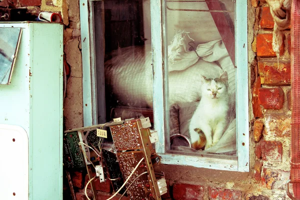 Abandonar — Foto de Stock