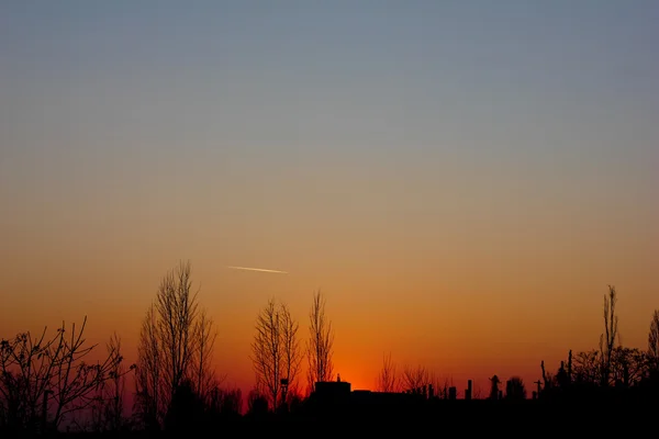 Gün batımı ve ağaçlarının silhouettes — Stok fotoğraf