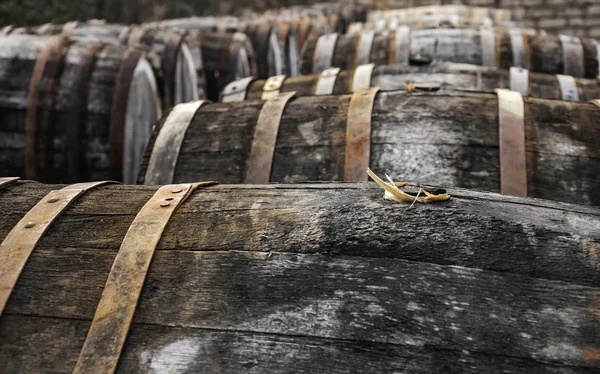 Oak wine casks on vineyard — Stock Photo, Image