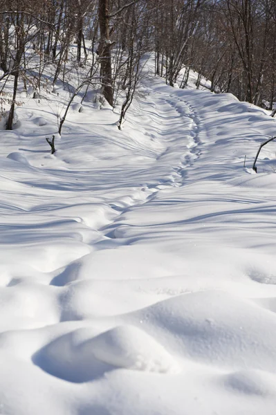 Footprints in the snow — Stock Photo, Image