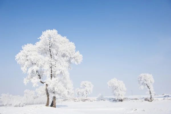 Зимний пейзаж Лицензионные Стоковые Фото