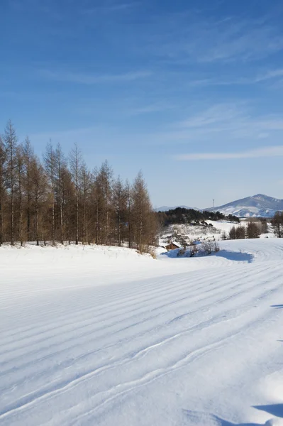 Vinterlandskap — Stockfoto